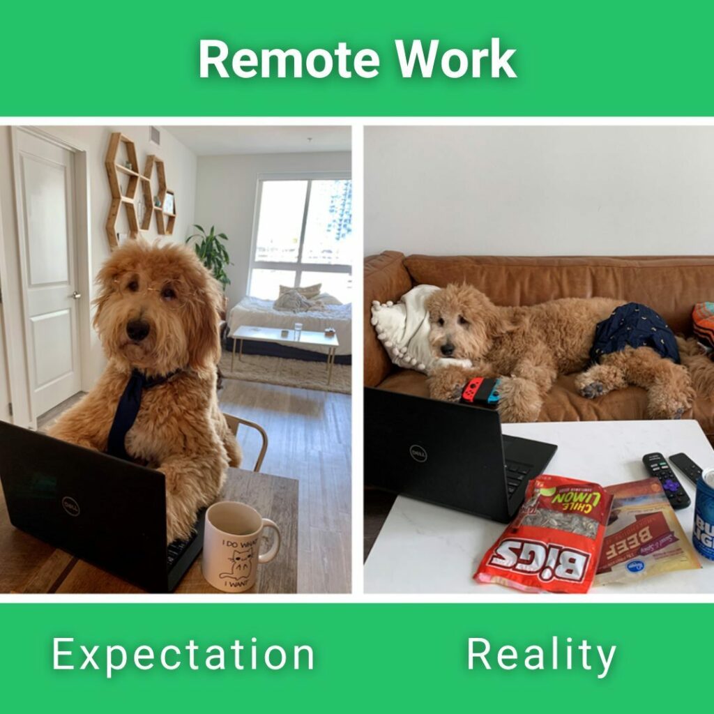 Remote Work Expectations vs Reality